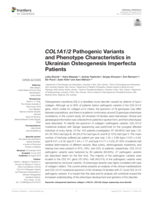 COL1A1/2 Pathogenic Variants and Phenotype Characteristics in Ukrainian Osteogenesis Imperfecta Patients