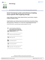 Smart functional nucleic acid chimeras: Enabling tissue specific RNA targeting therapy