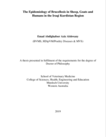 The epidemiology of Brucellosis in sheep, goats and humans in the Iraqi Kurdistan Region