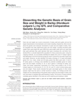 Dissecting the genetic basis of grain size and weight in barley (Hordeum vulgare L.) by QTL and comparative genetic analyses