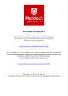 Immunofluorescent localization of non-myelinating Schwann cells and their interactions with immune cells in mouse thymus