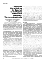 Cetacean Morbillivirus in coastal Indo-Pacific bottlenose dolphins, Western Australia