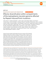 Effector diversification within compartments of the Leptosphaeria maculans genome affected by Repeat-Induced Point mutations