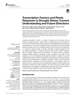 Transcription factors and plants response to drought stress: Current understanding and future directions