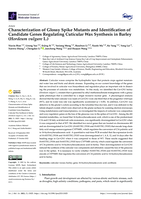 Characterization of glossy spike mutants and identification of candidate genes regulating cuticular wax synthesis in barley (Hordeum vulgare L.)