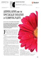 Jumping genes and the spectacular evolution of flowering plants