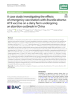 A case study investigating the effects of emergency vaccination with Brucella abortus A19 vaccine on a dairy farm undergoing an abortion outbreak in China