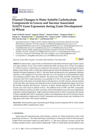 Diurnal changes in water soluble carbohydrate components in leaves and sucrose associated TaSUT1 gene expression during grain development in wheat