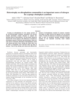 Heterotrophy on ultraplankton communities is an important source of nitrogen for a sponge-rhodophyte symbiosis