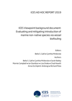 ICES Viewpoint background document: Evaluating and mitigating introduction of marine non-native species via vessel biofouling