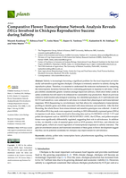 Comparative flower transcriptome network analysis reveals DEGs involved in chickpea reproductive success during salinity