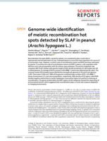 Genome-wide identification of meiotic recombination hot spots detected by SLAF in peanut (Arachis hypogaea L.)