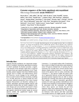 Genome sequence of the Listia angolensis microsymbiont Microvirga lotononidis strain WSM3557 T