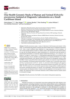 One health genomic study of human and animal Klebsiella pneumoniae isolated at diagnostic laboratories on a small Caribbean Island