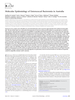 Molecular epidemiology of enterococcal bacteremia in Australia