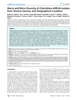Macro and micro diversity of Clostridium difficile isolates from diverse sources and geographical locations