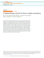 A dopaminergic switch for fear to safety transitions