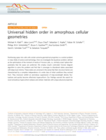 Universal hidden order in amorphous cellular geometries