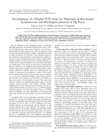 Development of a duplex PCR assay for detection of Brachyspira hyodysenteriae and Brachyspira pilosicoli in pig feces
