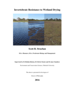 Invertebrate Resistance to Wetland Drying