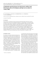 Colonization and risk factors for Brachyspira aalborgi and Brachyspira pilosicoli in humans and dogs on tea estates in Assam, India