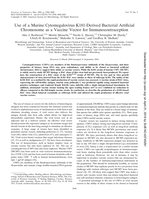 Use of a Murine Cytomegalovirus K181-Derived bacterial artificial chromosome as a vaccine vector for immunocontraception