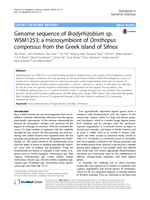 Genome sequence of Bradyrhizobium sp. WSM1253; a microsymbiont of Ornithopus compressus from the Greek Island of Sifnos