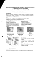 Behaviour of the asexual spores of Phytophthora cinnamomi in the root exudates of Acacia pulchella
