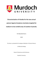 Characterisation of rhizobia for the new annual pasture legume Scorpiurus muricatus targeted for medium-to-low rainfall areas of southern Australia