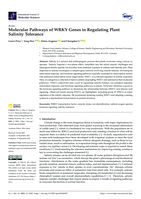 Molecular pathways of WRKY genes in regulating plant salinity tolerance