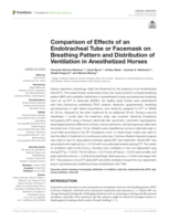 Comparison of effects of an endotracheal tube or facemask on breathing pattern and distribution of ventilation in anesthetized horses