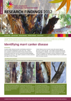 Identifying marri canker disease