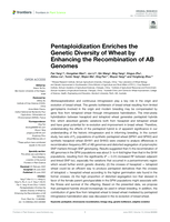 Pentaploidization enriches the genetic diversity of wheat by enhancing the recombination of AB genomes