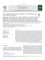 Non-escaping frost tolerant QTL linked genetic loci at reproductive stage in six wheat DH populations