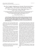 The first complete papillomavirus genome characterized from a marsupial host: a novel isolate from Bettongia penicillata
