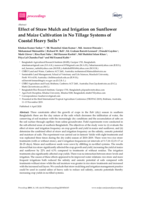 Effect of straw mulch and irrigation on sunflower and maize cultivation in no tillage systems of coastal heavy soils
