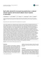 Beef cattle selected for increased muscularity have a reduced muscle response and increased adipose tissue response to adrenaline