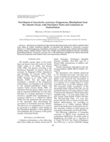 First report of Yamadaella caenomyce (Liagoraceae, Rhodophyta) from the Atlantic Ocean, with descriptive notes and comments on nomenclature