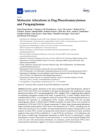 Molecular Alterations in Dog Pheochromocytomas and Paragangliomas