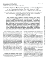 Laboratory strains of murine cytomegalovirus are genetically similar to but phenotypically distinct from wild strains of virus