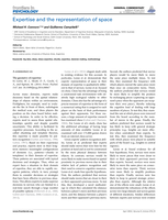 Expertise and the representation of space