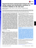 Impaired functional communication between the L-type calcium channel and mitochondria contributes to metabolic inhibition in the mdx heart