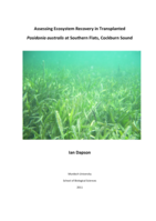 Assessing ecosystem recovery in transplanted Posidonia australis at Southern Flats, Cockburn Sound