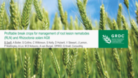 Profitable break crops from management of root lesion nematodes (RLN) and Rhizoctonia solani AG8