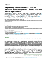 Sequencing of cultivated peanut, Arachis hypogaea, yields insights into genome evolution and oil improvement