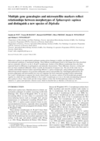 Multiple gene genealogies and microsatellite markers reflect relationships between morphotypes of Sphaeropsis sapinea and distinguish a new species of Diplodia