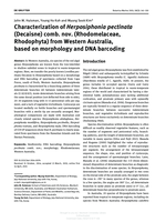 Characterization of Herposiphonia pectinata (Decaisne) comb. nov. (Rhodomelaceae, Rhodophyta) from Western Australia, based on morphology and DNA barcoding