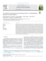 The metabolic environment of the developing embryo: A multidisciplinary approach on oilseed rapeseed