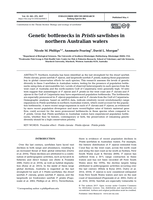 Genetic bottlenecks in Pristis sawfishes in northern Australian waters