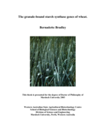 The granule-bound starch synthase genes of wheat